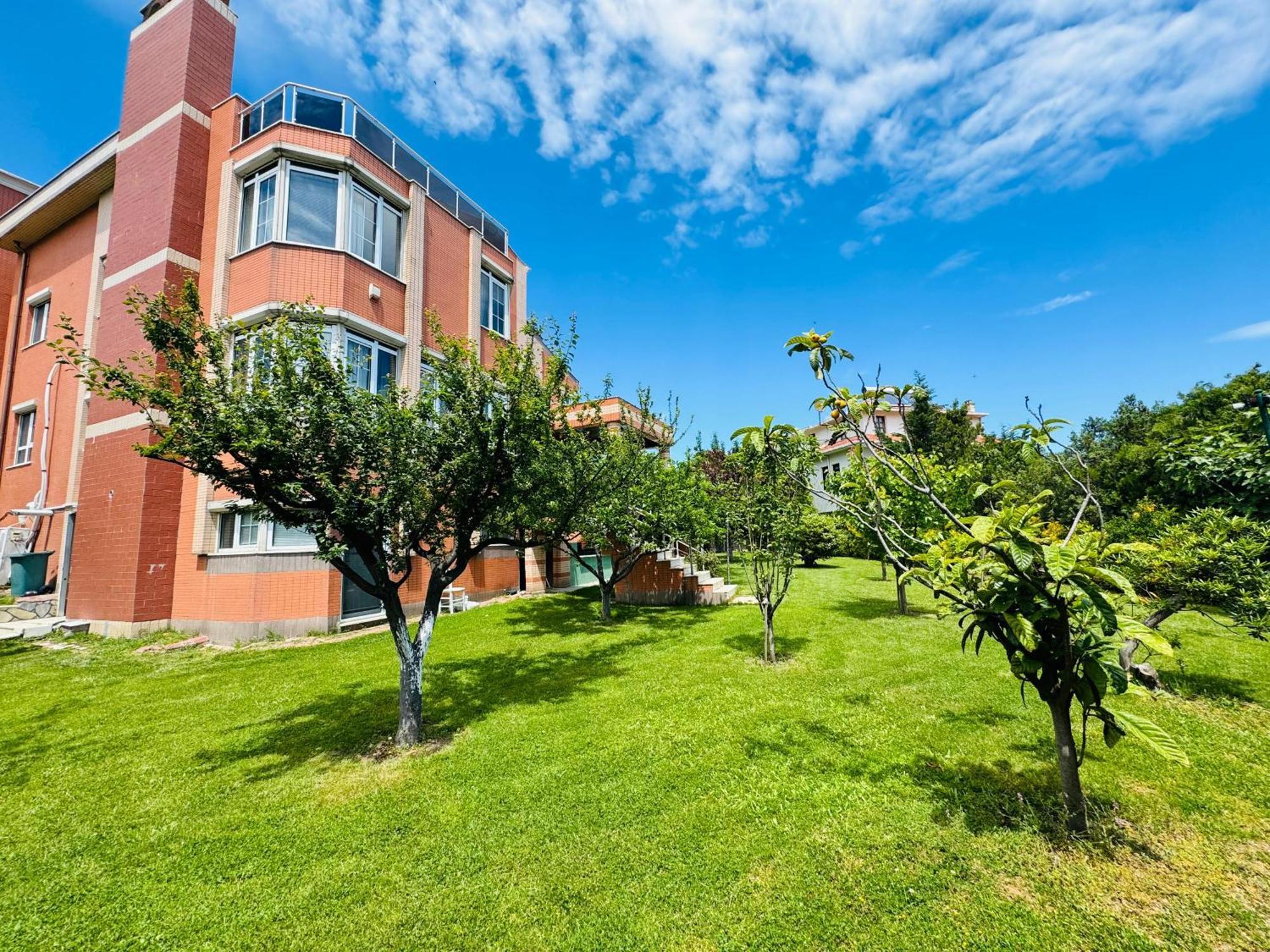 Treekos Suite Hotel Istanbul Airport Arnavutkoy Buitenkant foto